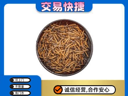 随州高价回收散虫草